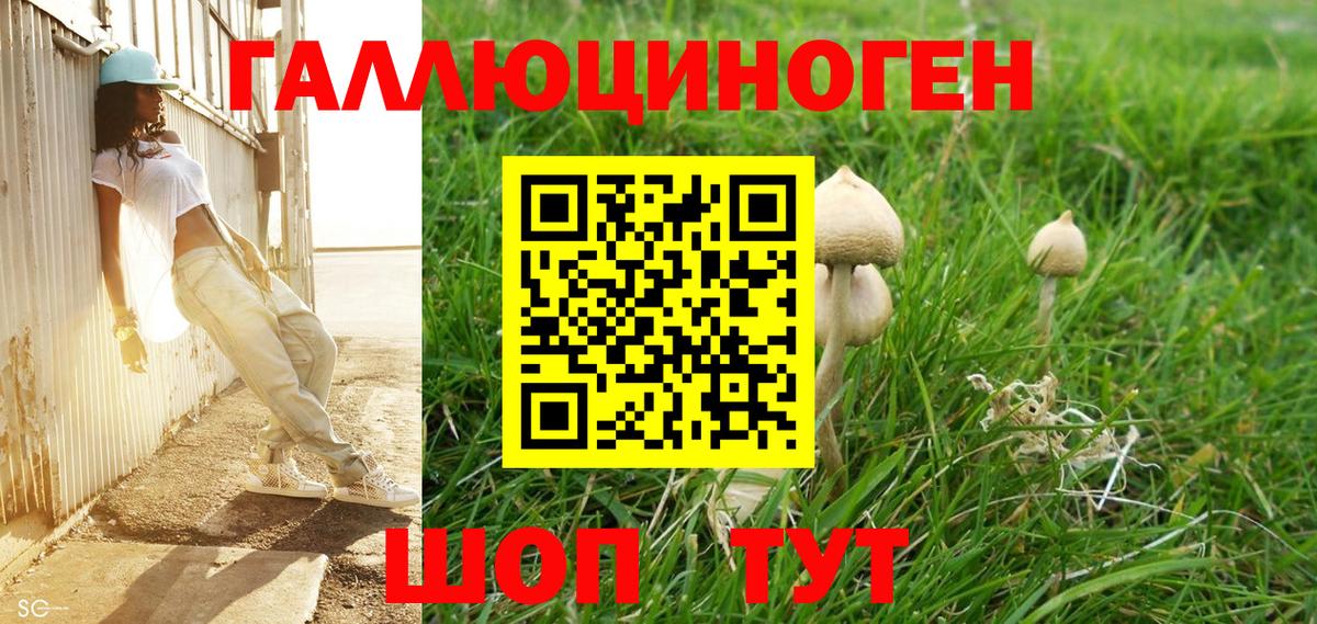 Псилоцибиновые грибы Cubensis  Галлюциногенные грибы Psilocybe  Вход с VPN  Волоколамск 